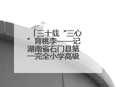 三十载“三心”育桃李——记湖南省石门县第一完全小学高级教师覃玲君