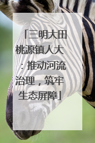 三明大田桃源镇人大：推动河流治理，筑牢生态屏障