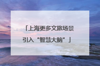 上海更多文旅场景引入“智慧大脑”