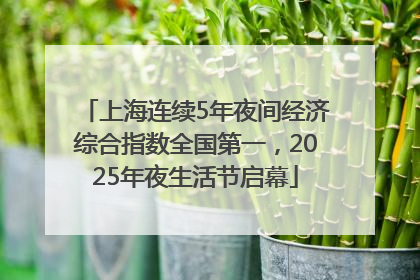 上海连续5年夜间经济综合指数全国第一，2025年夜生活节启幕