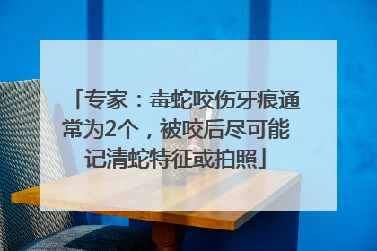 专家：毒蛇咬伤牙痕通常为2个，被咬后尽可能记清蛇特征或拍照