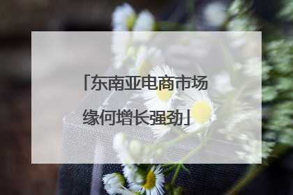 东南亚电商市场缘何增长强劲