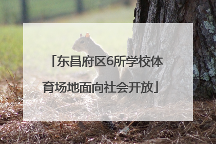 东昌府区6所学校体育场地面向社会开放