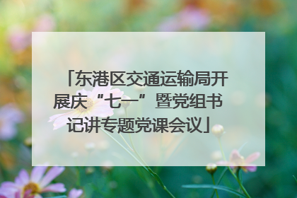 东港区交通运输局开展庆“七一”暨党组书记讲专题党课会议