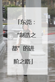 东莞：“制造之都”的进阶之路