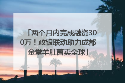 两个月内完成融资300万！政银联动助力成都金堂羊肚菌卖全球