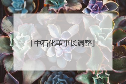 中石化董事长调整
