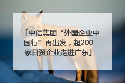 中信集团“外国企业中国行”再出发，超200家日资企业走进广东