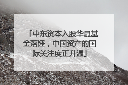 中东资本入股华夏基金落锤，中国资产的国际关注度正升温