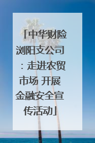 中华财险浏阳支公司：走进农贸市场 开展金融安全宣传活动