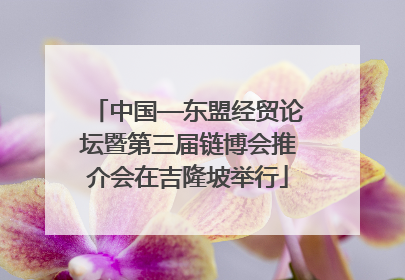 中国—东盟经贸论坛暨第三届链博会推介会在吉隆坡举行