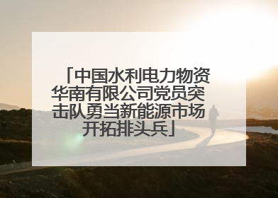 中国水利电力物资华南有限公司党员突击队勇当新能源市场开拓排头兵