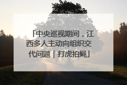 中央巡视期间，江西多人主动向组织交代问题｜打虎拍蝇