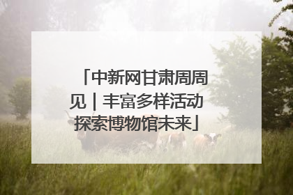 中新网甘肃周周见｜丰富多样活动探索博物馆未来