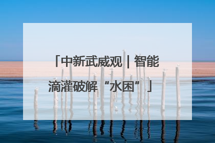 中新武威观｜智能滴灌破解“水困”