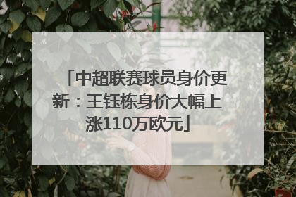 中超联赛球员身价更新：王钰栋身价大幅上涨110万欧元