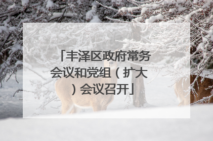 丰泽区政府常务会议和党组（扩大）会议召开
