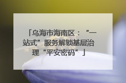 乌海市海南区：“一站式”服务解锁基层治理“平安密码”