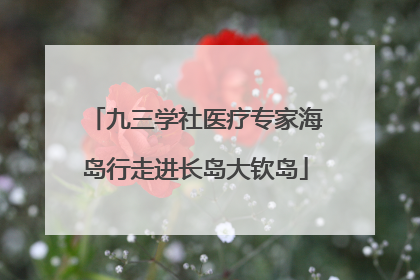 九三学社医疗专家海岛行走进长岛大钦岛