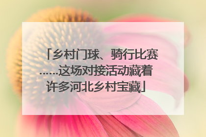 乡村门球、骑行比赛……这场对接活动藏着许多河北乡村宝藏