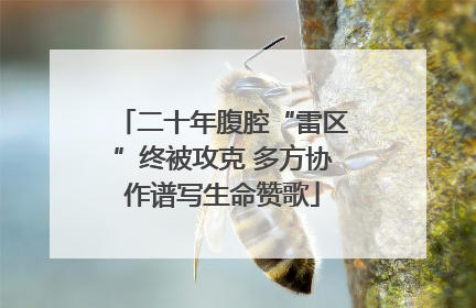 二十年腹腔“雷区”终被攻克 多方协作谱写生命赞歌