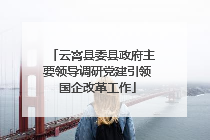 云霄县委县政府主要领导调研党建引领国企改革工作