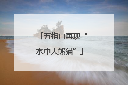 五指山再现“水中大熊猫”