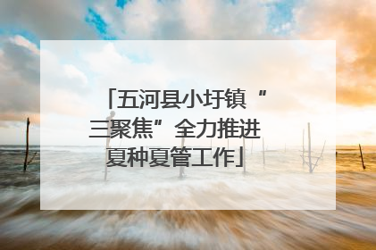 五河县小圩镇“三聚焦”全力推进夏种夏管工作