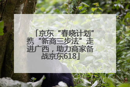 京东“春晓计划”携“新商三步法”走进广西，助力商家备战京东618