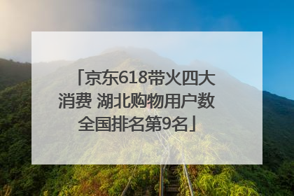 京东618带火四大消费 湖北购物用户数全国排名第9名