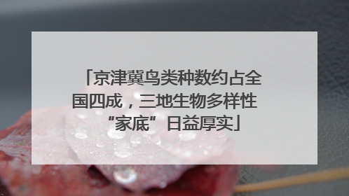 京津冀鸟类种数约占全国四成，三地生物多样性“家底”日益厚实
