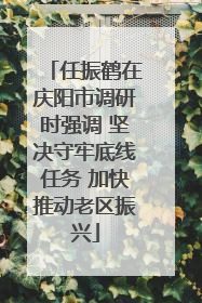 任振鹤在庆阳市调研时强调 坚决守牢底线任务 加快推动老区振兴