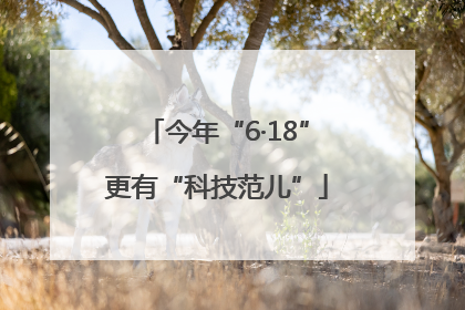 今年“6·18”更有“科技范儿”