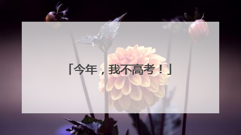 今年，我不高考！