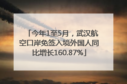 今年1至5月，武汉航空口岸免签入境外国人同比增长160.87%
