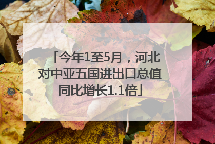 今年1至5月，河北对中亚五国进出口总值同比增长1.1倍