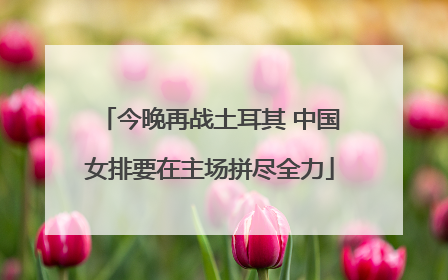 今晚再战土耳其 中国女排要在主场拼尽全力