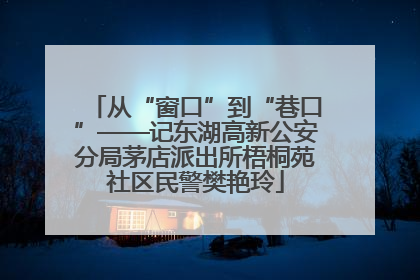 从“窗口”到“巷口”——记东湖高新公安分局茅店派出所梧桐苑社区民警樊艳玲