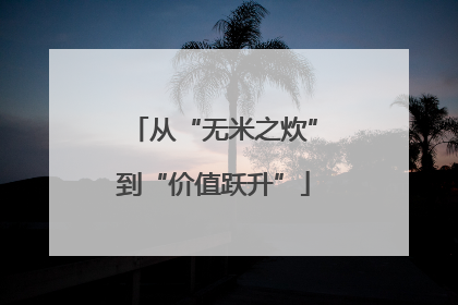 从“无米之炊”到“价值跃升”