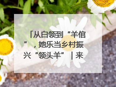 从白领到“羊倌”，她乐当乡村振兴“领头羊”｜来长沙 创未来