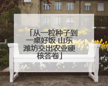从一粒种子到一桌好饭 山东潍坊交出农业硬核答卷