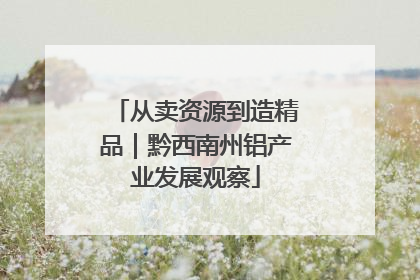 从卖资源到造精品｜黔西南州铝产业发展观察
