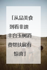 从品美食到看非遗 丰台玉树消费帮扶展有惊喜