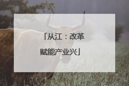 从江：改革赋能产业兴