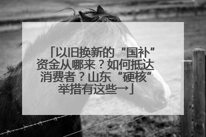 以旧换新的“国补”资金从哪来？如何抵达消费者？山东“硬核”举措有这些→