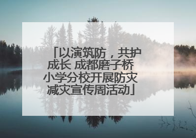 以演筑防，共护成长 成都磨子桥小学分校开展防灾减灾宣传周活动