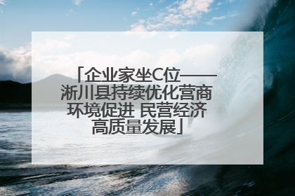 企业家坐C位——淅川县持续优化营商环境促进 民营经济高质量发展