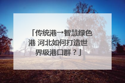 传统港→智慧绿色港 河北如何打造世界级港口群？
