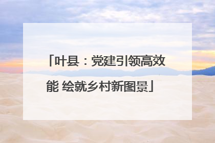 叶县：党建引领高效能 绘就乡村新图景