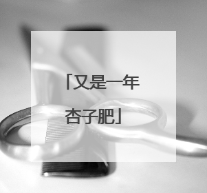 又是一年杏子肥